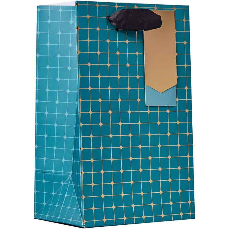 SYMMETRY SMALL BAG 6S
