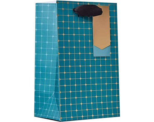 SYMMETRY SMALL BAG 6S