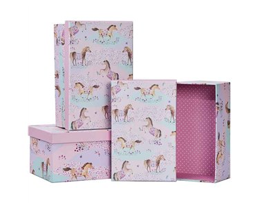 3SET PONY CLUB GIFT BOXES