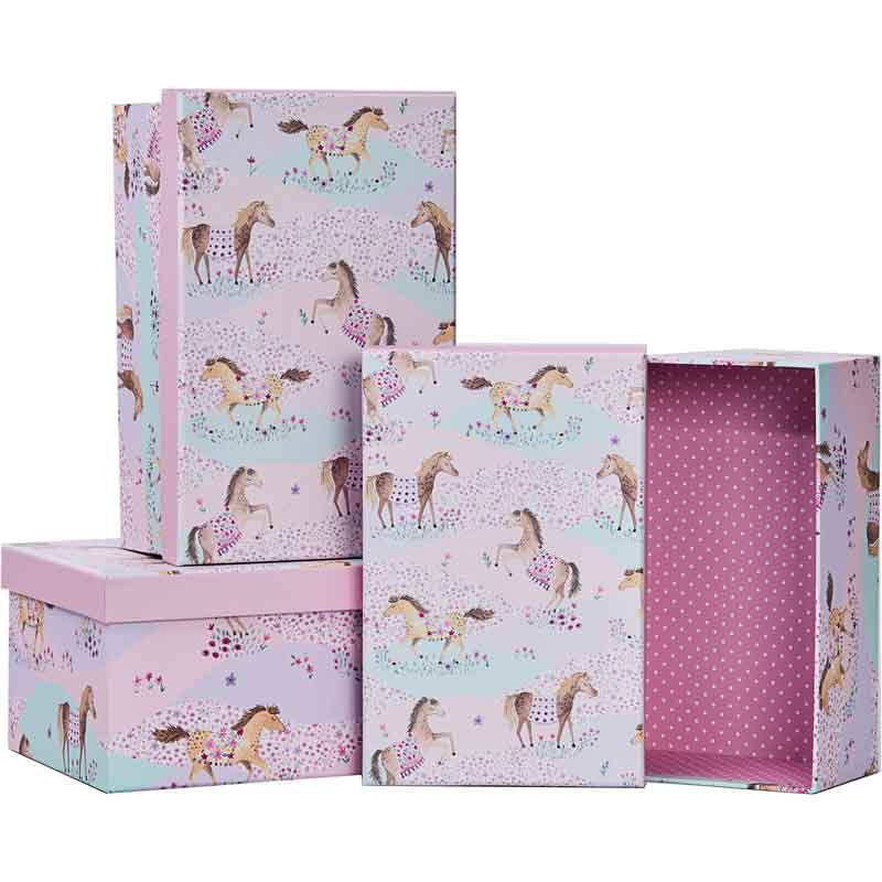3SET PONY CLUB GIFT BOXES