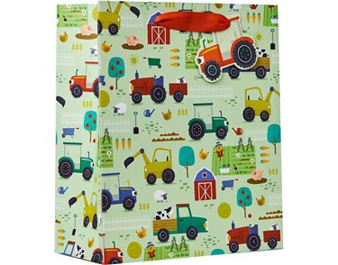 PICKLE PATCH MEDIUM GIFT BAG 6S