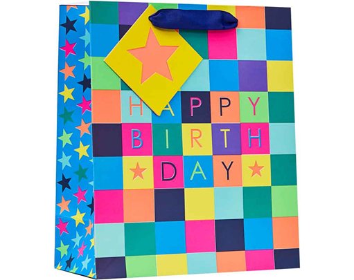 CHECKERBOARD MEDIUM GIFT BAG 6S