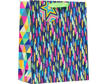 PAINT STROKES LARGE GIFT BAG 6S
