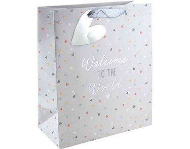 GENERIC BABY LARGE GIFT BAG 6S