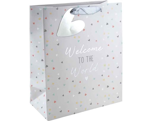 GENERIC BABY LARGE GIFT BAG 6S