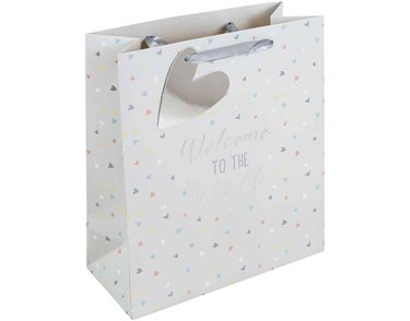 GENERIC BABY MEDIUM GIFT BAG 6S