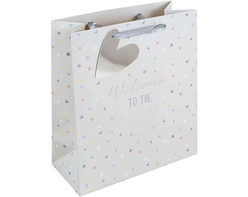 GENERIC BABY MEDIUM GIFT BAG 6S