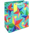 NEON STARS LARGE GIFT BAG 6S