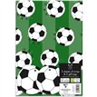JUVENILE BOY FOLDEN GIFTWRAP AND TAGS