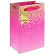 PINK OMBRE PERFUME BAG 6S