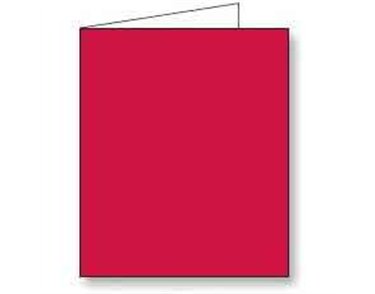 RED GIFT TAG 12S