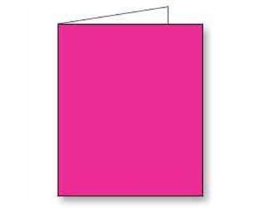 DEEP PINK GIFT TAG 12S