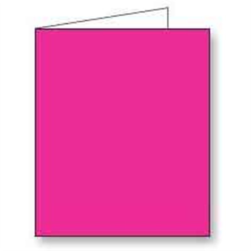 DEEP PINK GIFT TAG 12S
