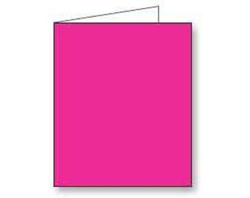 DEEP PINK GIFT TAG 12S