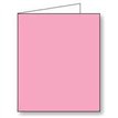 PALE PINK GIFT TAG 12S