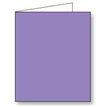 LILAC GIFT TAG 12S