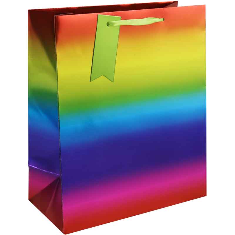 RAINBOW METALLIC LARGE GIFT BAG 6S