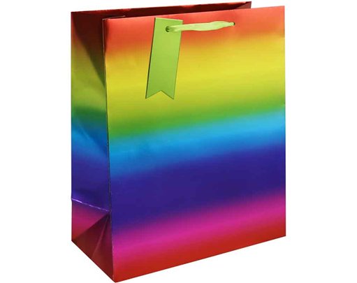 RAINBOW METALLIC LARGE GIFT BAG 6S