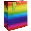 RAINBOW METALLIC LARGE GIFT BAG 6S