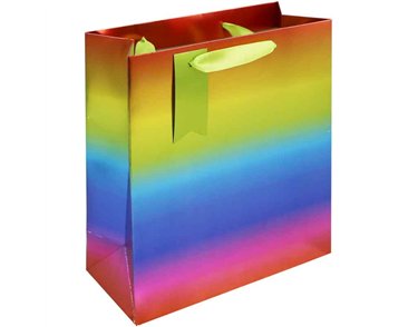 RAINBOW METALLIC MEDIUM GIFT BAG 6S