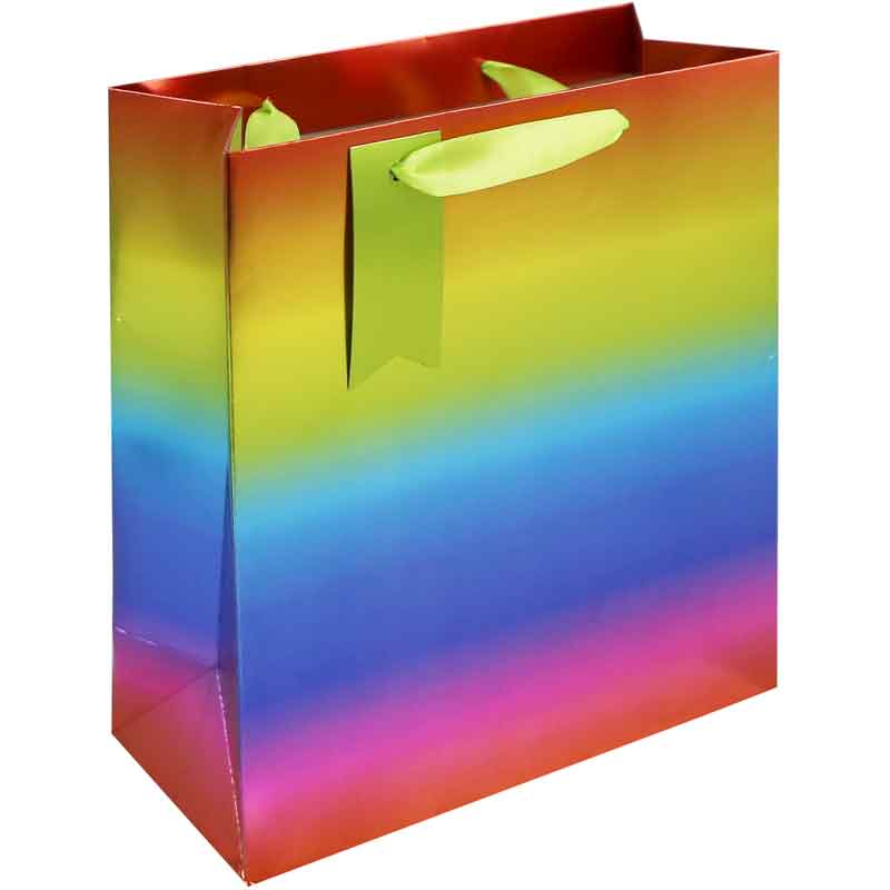 RAINBOW METALLIC MEDIUM GIFT BAG 6S