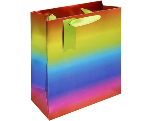 RAINBOW METALLIC MEDIUM GIFT BAG 6S