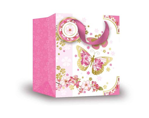OPEN FEMALE TRAD MEDIUM GIFT BAG 6S