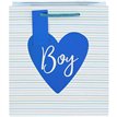 ITÃ¢â‚¬â„¢S A BOY MEDIUM GIFT BAG 6S