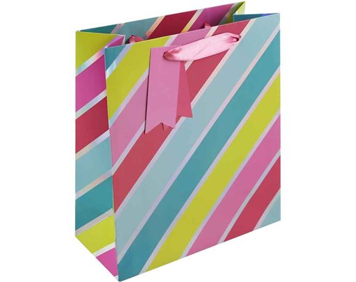 HOLO STRIPES MEDIUM GIFT BAG 6S