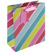 HOLO STRIPES MEDIUM GIFT BAG 6S