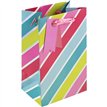 HOLO STRIPES PERFUME GIFT BAG 6S