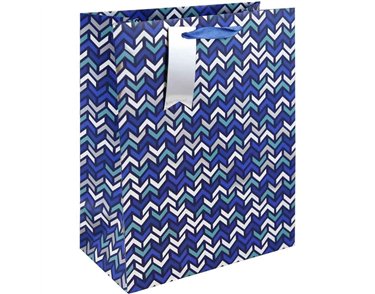 MODERN CHEVRON LARGE GIFT BAG 6S
