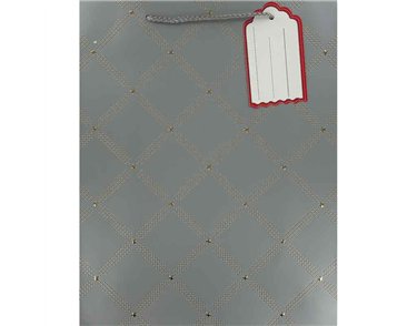 SILVER EMBOSSED LARGE GIFT BAG 6S