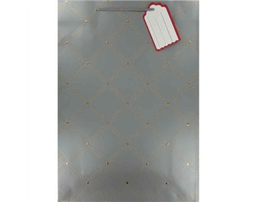 SILVER EMBOSSED XLG GIFT BAG 6S