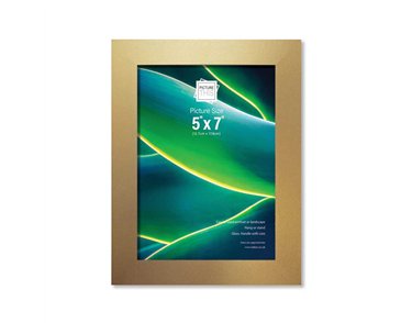 5x7in GOLD BASIC PHOTO FRAME