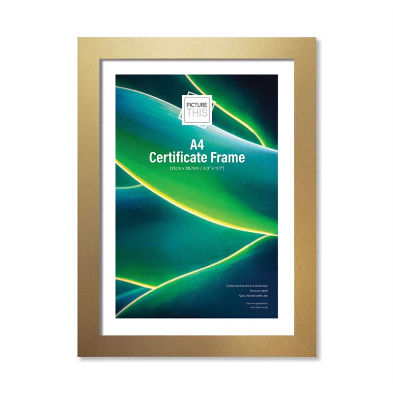 A4 GOLD BASIC PHOTO FRAME