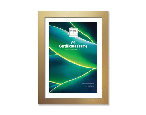 A4 GOLD BASIC PHOTO FRAME