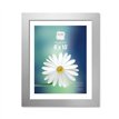 8x10in SILVER BASIC PHOTO FRAMES