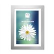 A4 SILVER BASIC PHOTO FRAMES