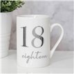 18TH BONE CHINA WITH SILVER FOIL