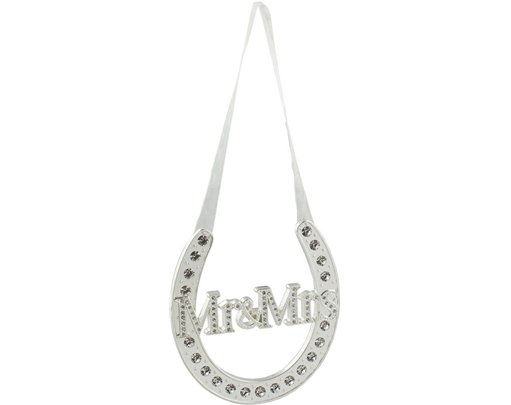 MR & MRS HORSE SHOE