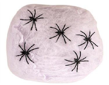 40G WHITE SPIDERS WEB & SPIDERS