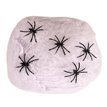 40G WHITE SPIDERS WEB & SPIDERS