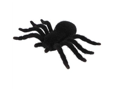 17X10cm BLACK FURRY SPIDER