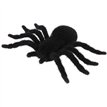 17X10cm BLACK FURRY SPIDER