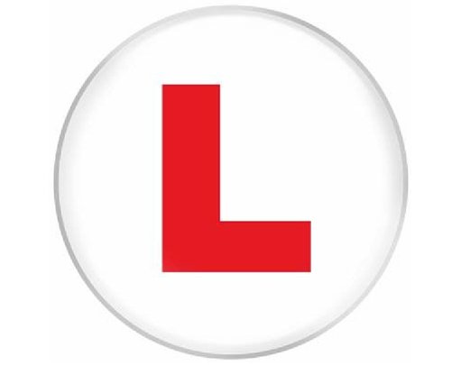 6IN L PLATE JUMBO BADGE