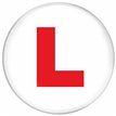 6IN L PLATE JUMBO BADGE