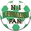 15cm GREEN AND WHITE FOOTBALL BADGE