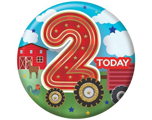 5.5cm AGE 2 MALE BADGE 6S