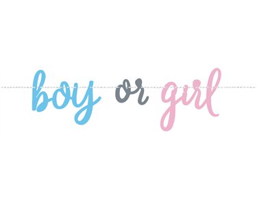 7ft BLUE OR PINK GENDER REVEAL BANNER